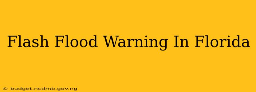 Flash Flood Warning In Florida