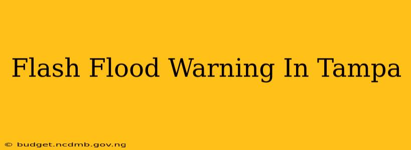 Flash Flood Warning In Tampa