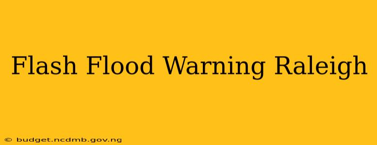 Flash Flood Warning Raleigh