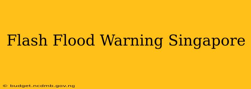 Flash Flood Warning Singapore