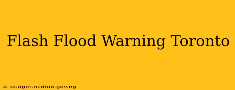 Flash Flood Warning Toronto