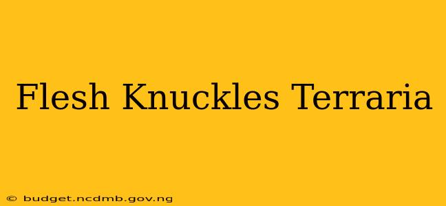Flesh Knuckles Terraria