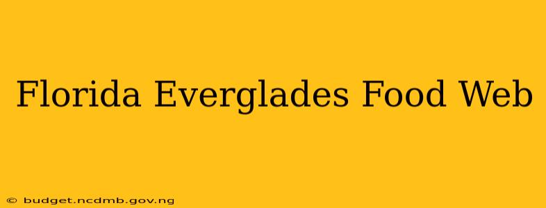Florida Everglades Food Web