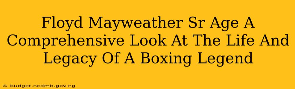 Floyd Mayweather Sr Age A Comprehensive Look At The Life And Legacy Of A Boxing Legend