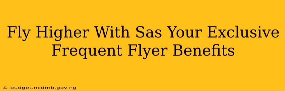 Fly Higher With Sas Your Exclusive Frequent Flyer Benefits