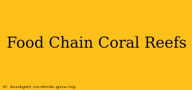 Food Chain Coral Reefs