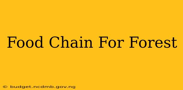 Food Chain For Forest