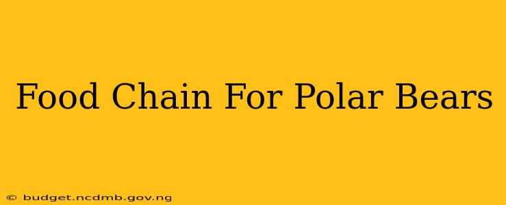 Food Chain For Polar Bears