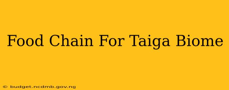 Food Chain For Taiga Biome