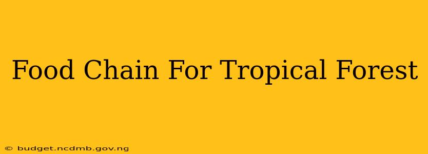 Food Chain For Tropical Forest