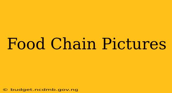 Food Chain Pictures