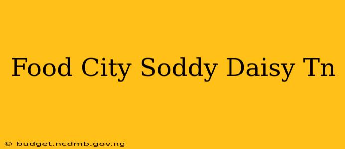 Food City Soddy Daisy Tn