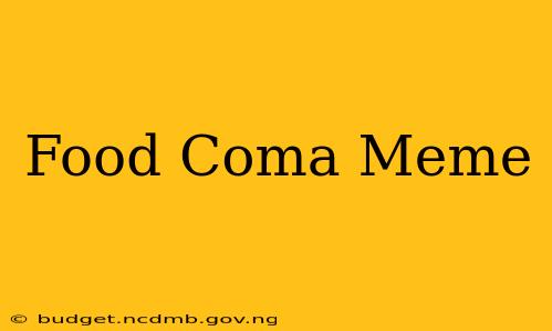 Food Coma Meme