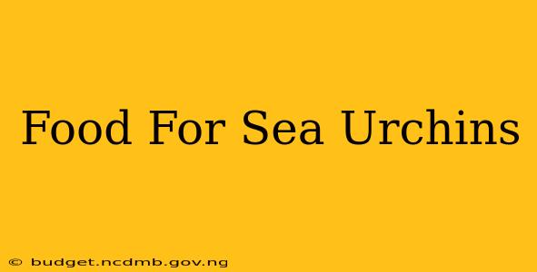 Food For Sea Urchins