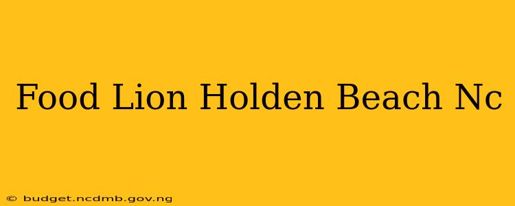 Food Lion Holden Beach Nc