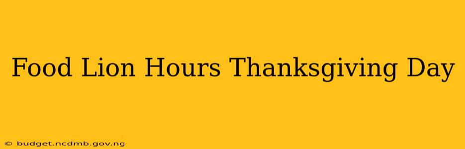 Food Lion Hours Thanksgiving Day