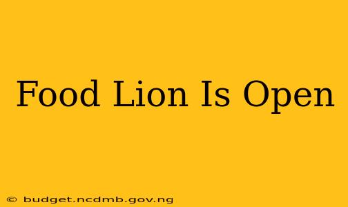 Food Lion Is Open