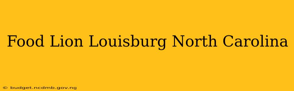 Food Lion Louisburg North Carolina