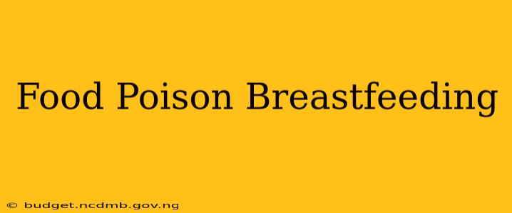 Food Poison Breastfeeding