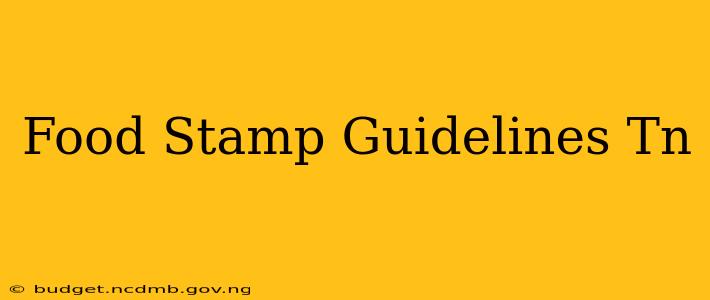 Food Stamp Guidelines Tn