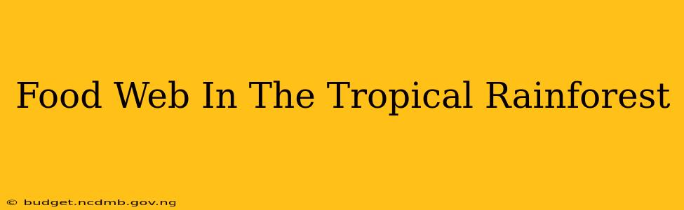Food Web In The Tropical Rainforest