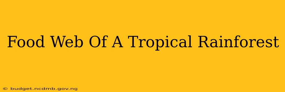 Food Web Of A Tropical Rainforest