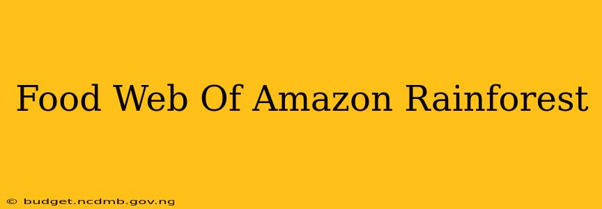 Food Web Of Amazon Rainforest