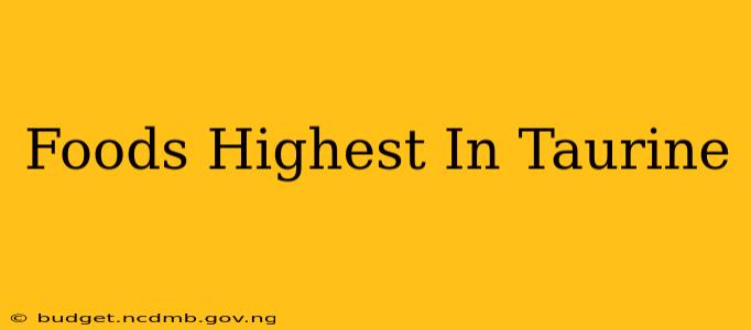 Foods Highest In Taurine