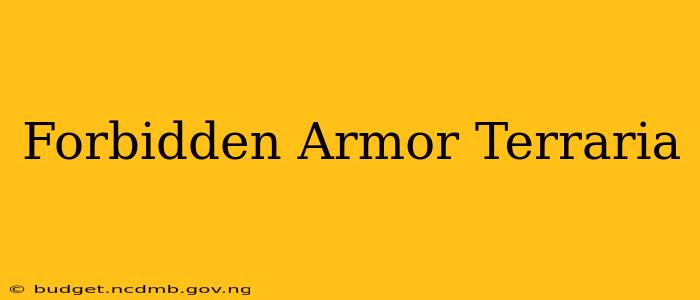 Forbidden Armor Terraria