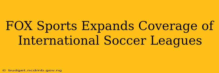 FOX Sports Expands Coverage of International Soccer Leagues