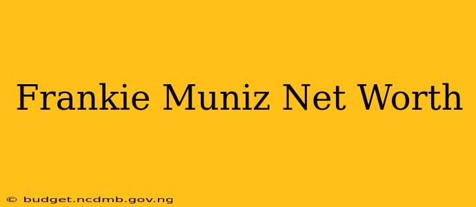 Frankie Muniz Net Worth