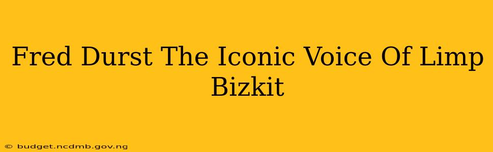 Fred Durst The Iconic Voice Of Limp Bizkit