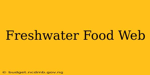 Freshwater Food Web