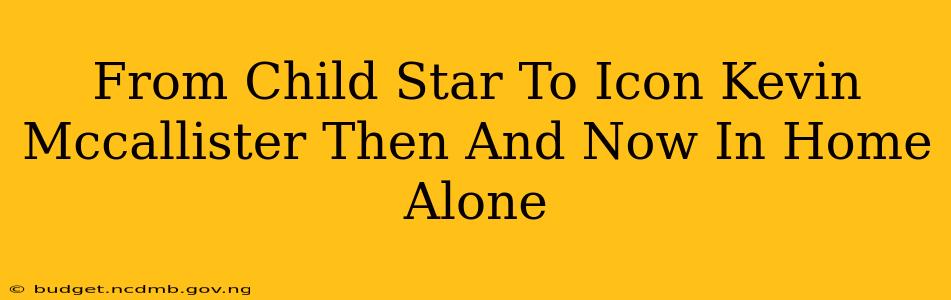 From Child Star To Icon Kevin Mccallister Then And Now In Home Alone