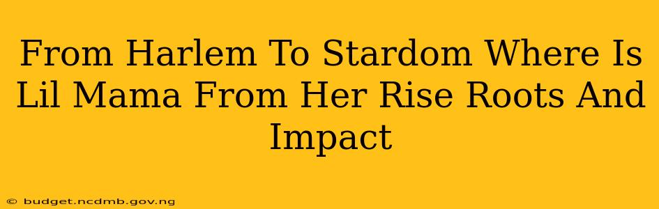 From Harlem To Stardom Where Is Lil Mama From Her Rise Roots And Impact