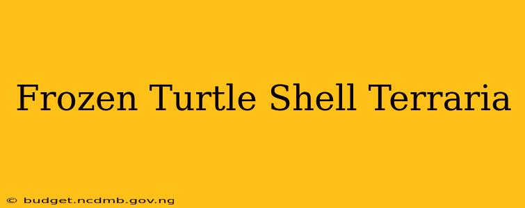 Frozen Turtle Shell Terraria