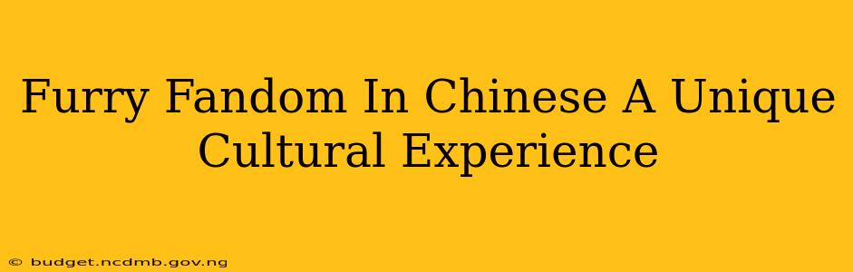 Furry Fandom In Chinese A Unique Cultural Experience