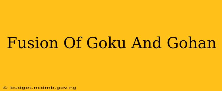 Fusion Of Goku And Gohan