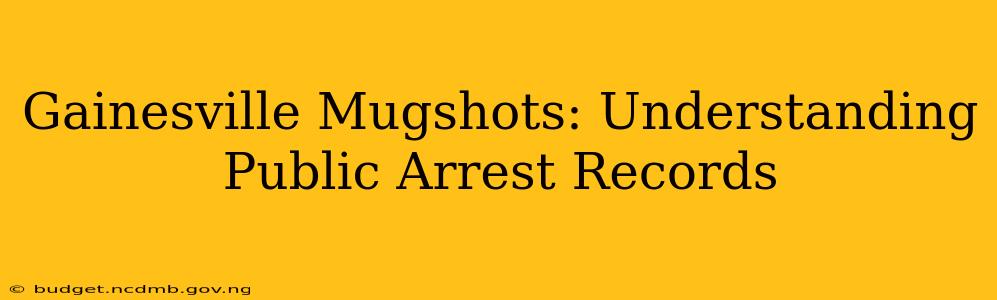 Gainesville Mugshots: Understanding Public Arrest Records