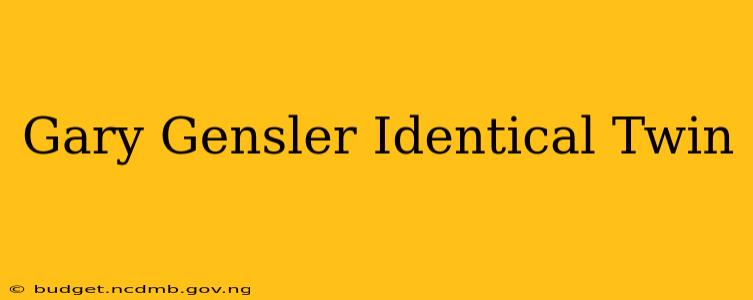 Gary Gensler Identical Twin