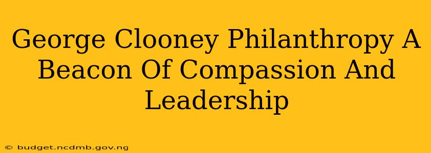 George Clooney Philanthropy A Beacon Of Compassion And Leadership