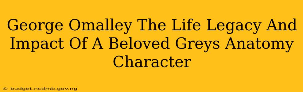 George Omalley The Life Legacy And Impact Of A Beloved Greys Anatomy Character