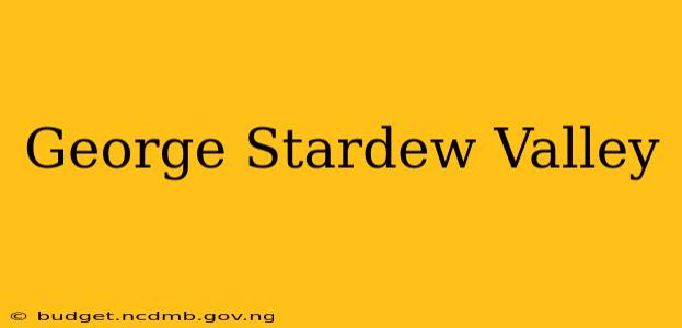 George Stardew Valley