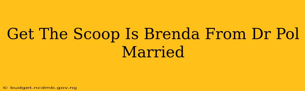 Get The Scoop Is Brenda From Dr Pol Married