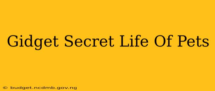 Gidget Secret Life Of Pets