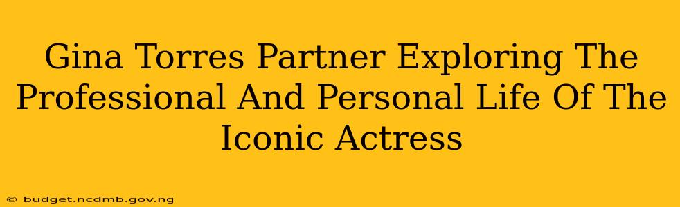 Gina Torres Partner Exploring The Professional And Personal Life Of The Iconic Actress