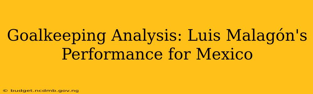 Goalkeeping Analysis: Luis Malagón's Performance for Mexico