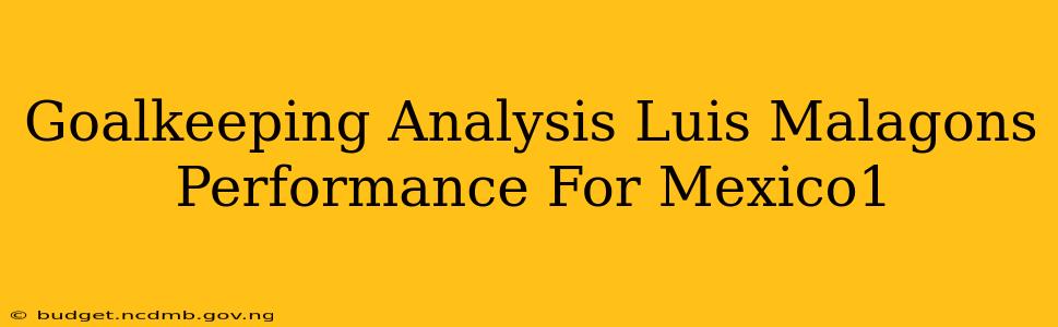 Goalkeeping Analysis Luis Malagons Performance For Mexico1