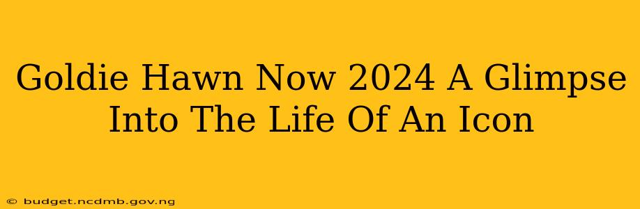 Goldie Hawn Now 2024 A Glimpse Into The Life Of An Icon