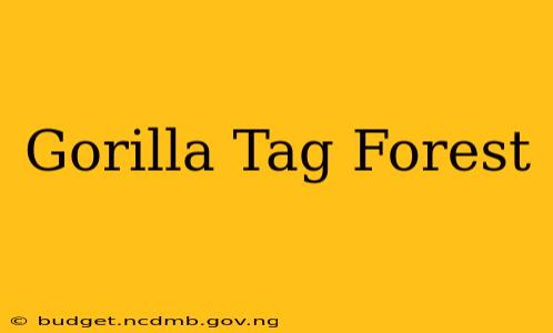 Gorilla Tag Forest